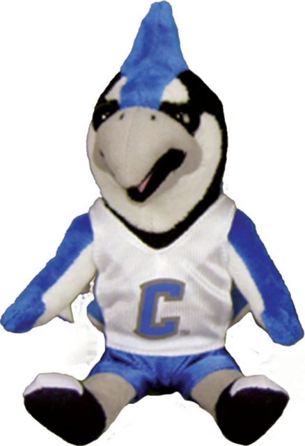 stuffed blue jay