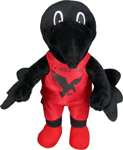 stuffed ravens