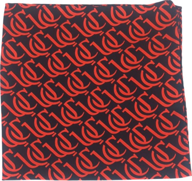 University of Cincinnati Illusion Pattern Pocket Square