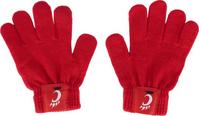 University of Cincinnati Youth Glove