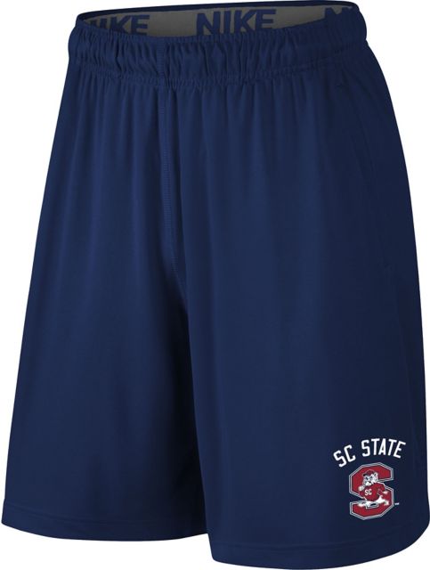 Nike Men's Boston Red Sox Fly Shorts for Men