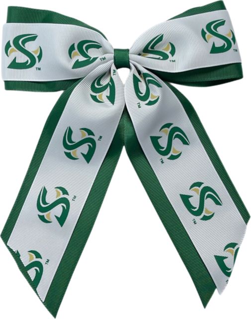 Sacramento State Child Cheer Pony