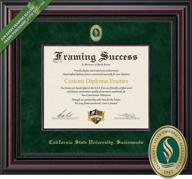 Framing Success Legacy 8.5 x 11 Diploma with Suede mat, Wood Fillet and Medallion - ONLINE ONLY