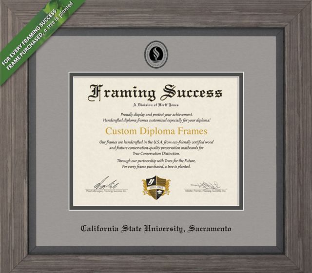 Framing Success Greystone 8.5 X 11 Diploma With Double Mat - ONLINE ONLY
