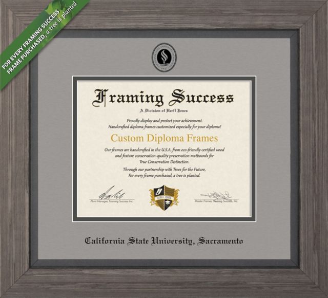 Framing Success Greystone 8.5 X 11 Diploma With Double Mat - ONLINE ONLY