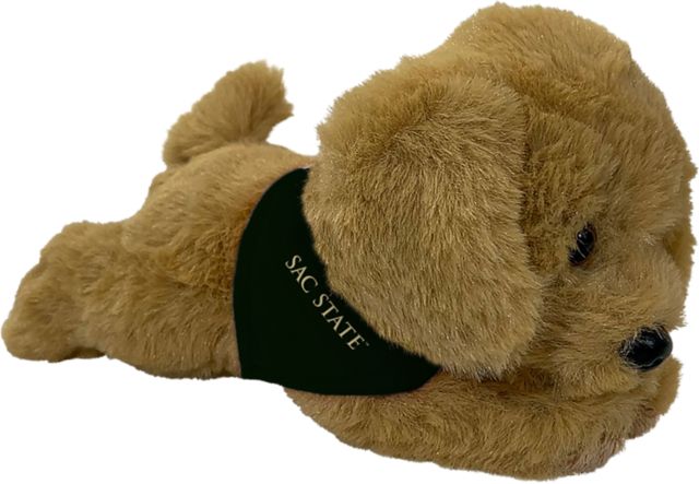 Sacramento State 7'' Tiny Tykes Plush