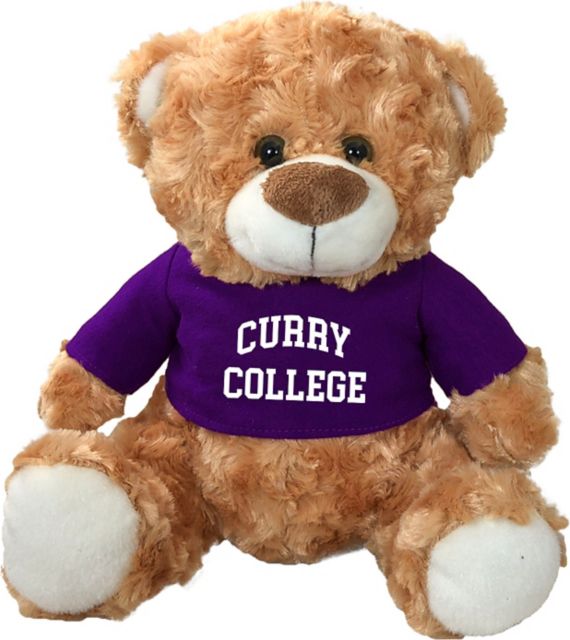 Curry College 10 in. Plush Bear