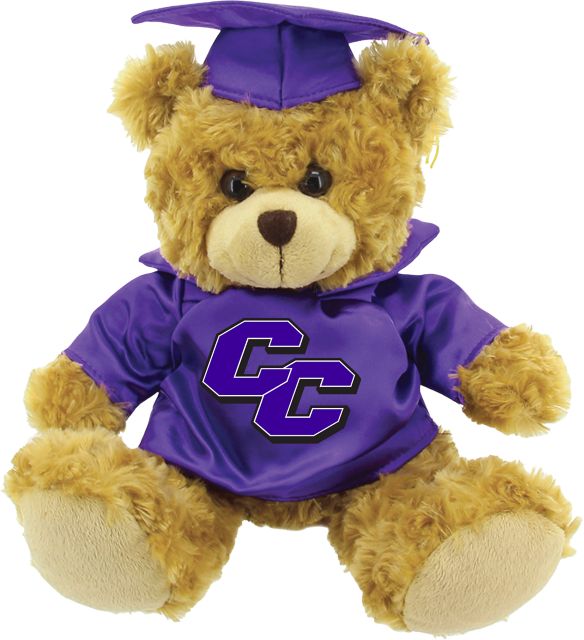 Curry College 10'' Graduation Bear