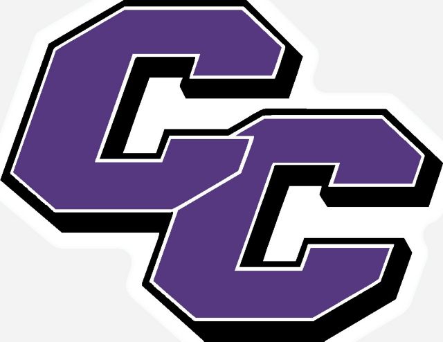 Curry College Mini Magnet