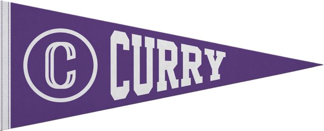 Curry College 12x30 Pennant