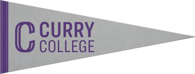 Curry College 9x24 Pennant