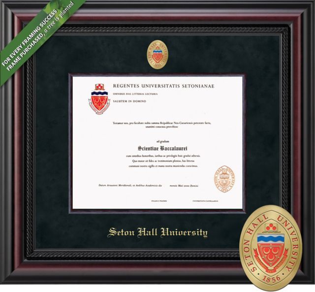 Seton Hall University Legacy 8.5 x 11 Diploma with Suede mat, Wood Fillet and Medallion - ONLINE ONLY