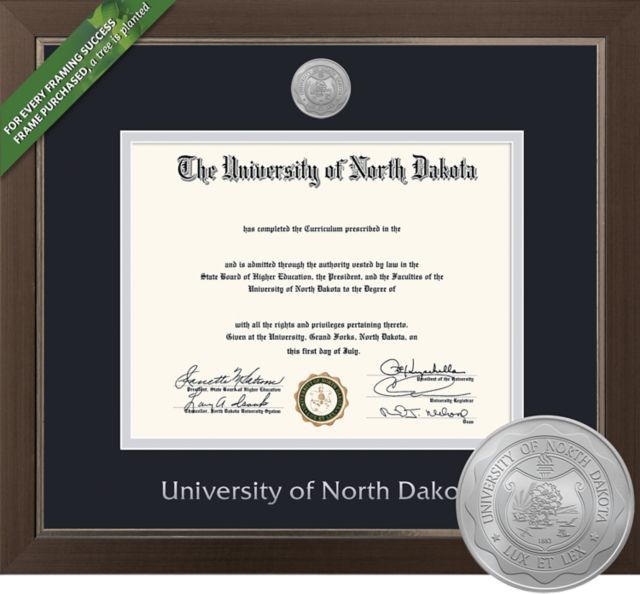 Framing Success Metro 8.5 x 11 BA/MA Diploma with Double mat and Medallion