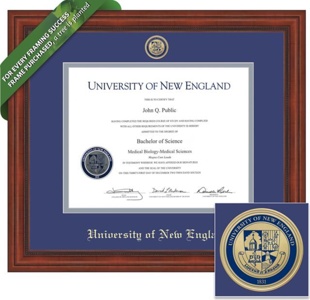 Framing Success Millennium 8.5 x 11 Diploma with Double mat and Medallion - ONLINE ONLY