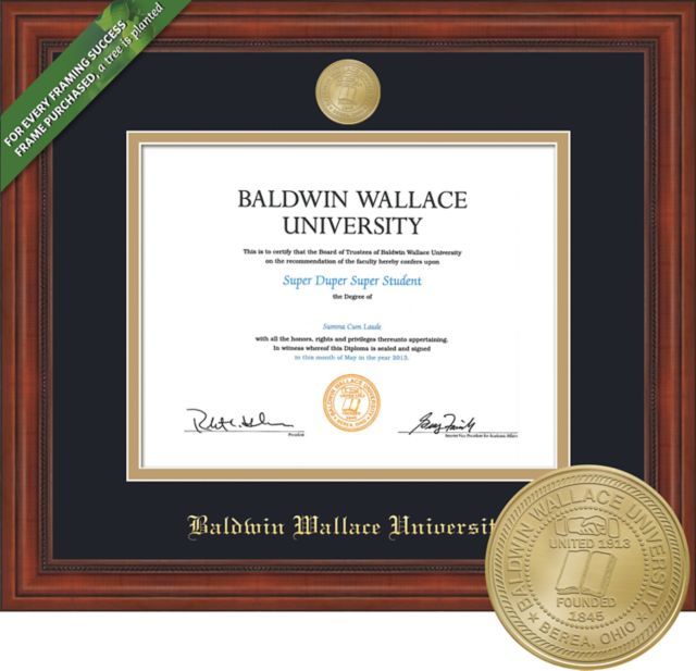 Framing Success Millennium 8.5 x 11 Diploma with Double mat and Medallion - ONLINE ONLY