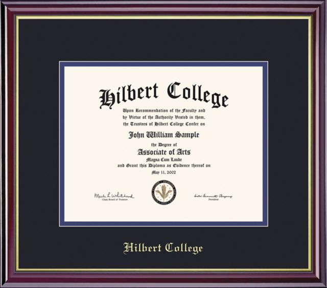Hilbert College 8'' x 10'' Windsor Diploma Frame