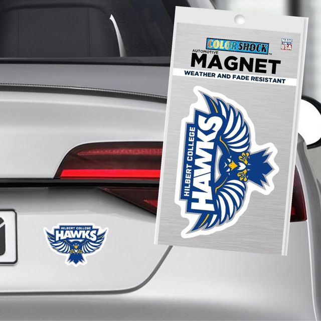 Hilbert College 4x4 Small Hawks Magnet