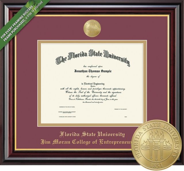 Framing Success Windsor 11 x 14 Diploma with Medallion and Double mat - ONLINE ONLY