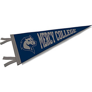 Mercy College Mavericks 12" X 30" College Pennant