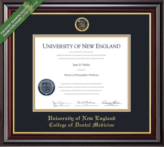 University of New England 14" x 17" Windsor Diploma Frame