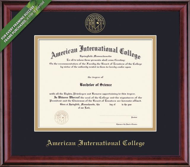 American International College 8.5'' x 11'' Classic Diploma Frame