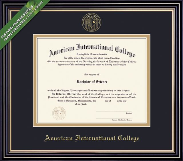 American International College 8.5'' x 11'' Prestige Diploma Frame