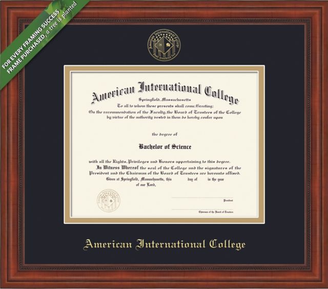 Framing Success Millennium 10 x 13 Diploma with Double Mat - ONLINE ONLY