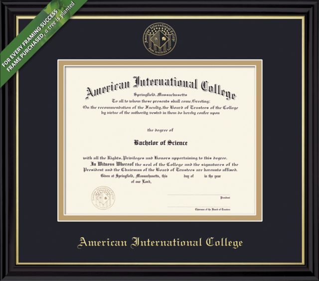 Framing Success Coronado 10 x 13 Diploma with Double Mat - ONLINE ONLY