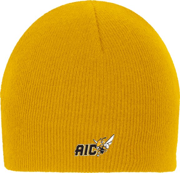 American International College Beanie
