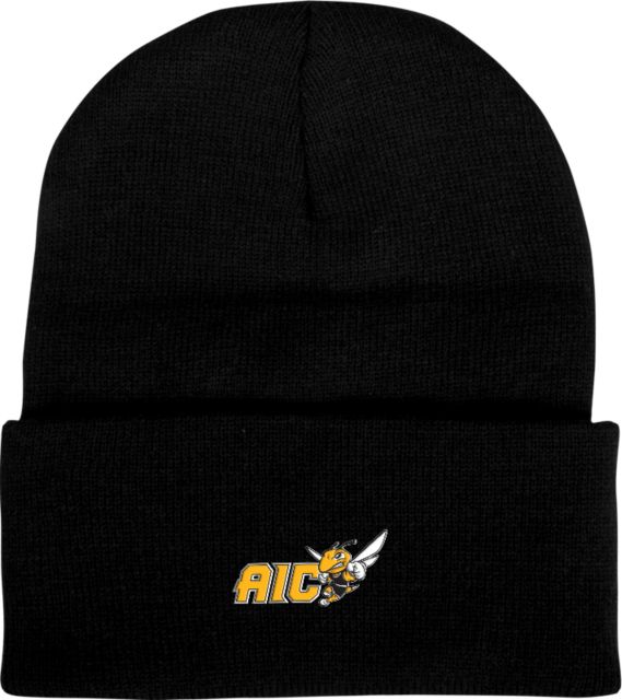 American International College Beanie