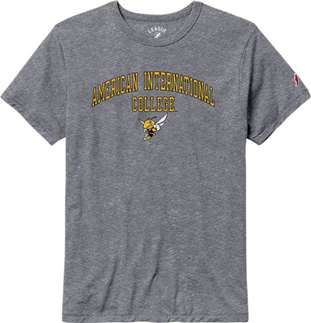 American International College Yellow Jackets Victory Falls T-Shirt