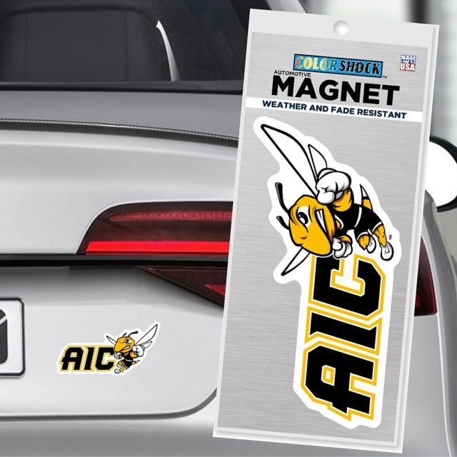 American International College 4x4 Magnet