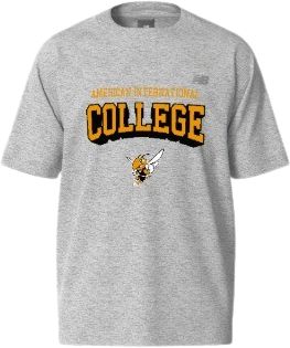 American International College Short Sleeve T-Shirt