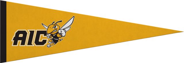 American International College Yellow Jackets 5x15 Pennant