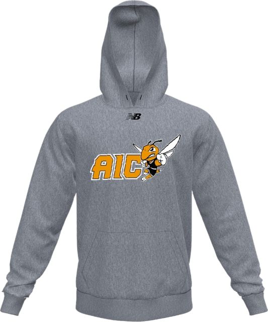 American International College Hooded Sweatshirt