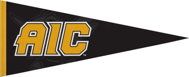 American International College 12x30 Yellow Jackets Pennant