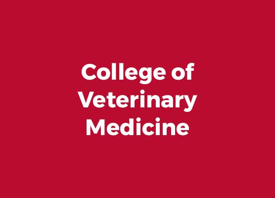 College of Veterinary Medicine