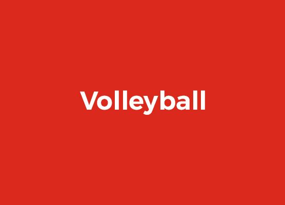 Volleyball