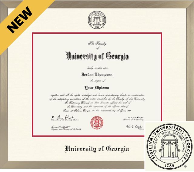 University of Georgia Dimensions Light Champagne Diploma Frame