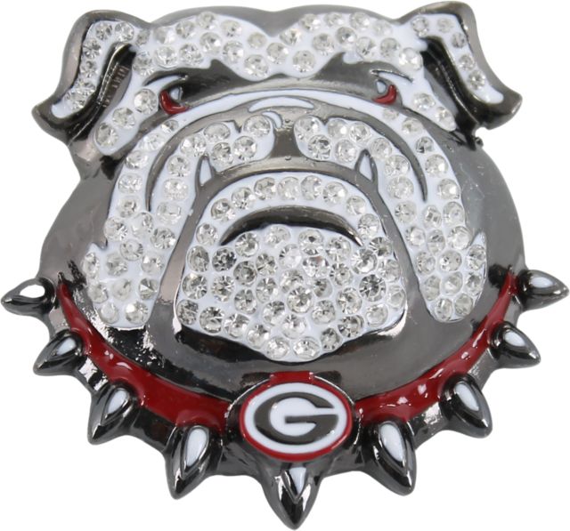 University of Georgia Pin