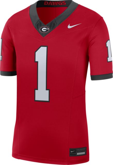 Georgia Bulldogs Nick Chubb #27 College Jersey - White For Sale