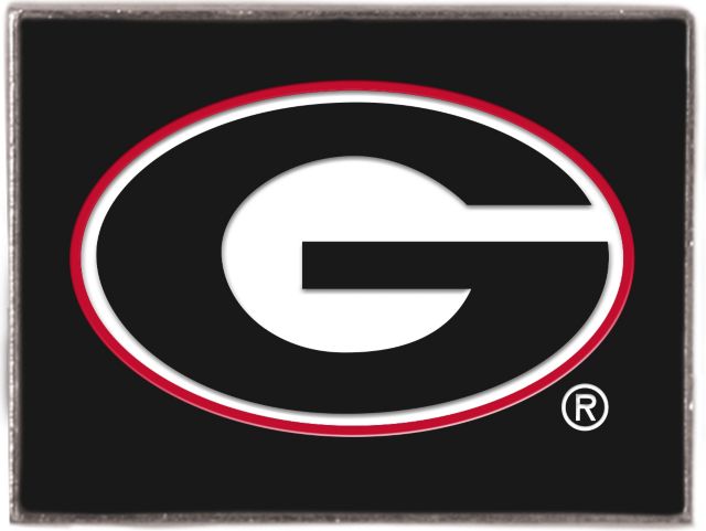 Foxboro Rectangular Lapel Pin