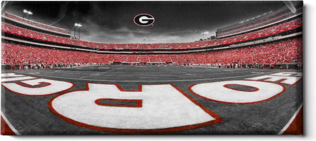 Sanford Stadium End Zone Duotone Panoramic 36x16 Photo Canvas