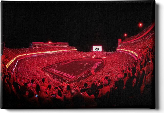 University of Georgia 24 x 16 Canvas Print
