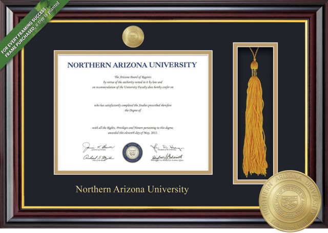 Framing Success Windsor 8.5 x 11 Diploma and Tassel Cut-out with Double mat and Medallion