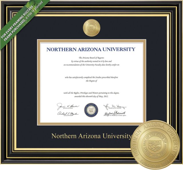 Framing Success Prestige 8.5 x 11 Diploma with Double mat and Medallion