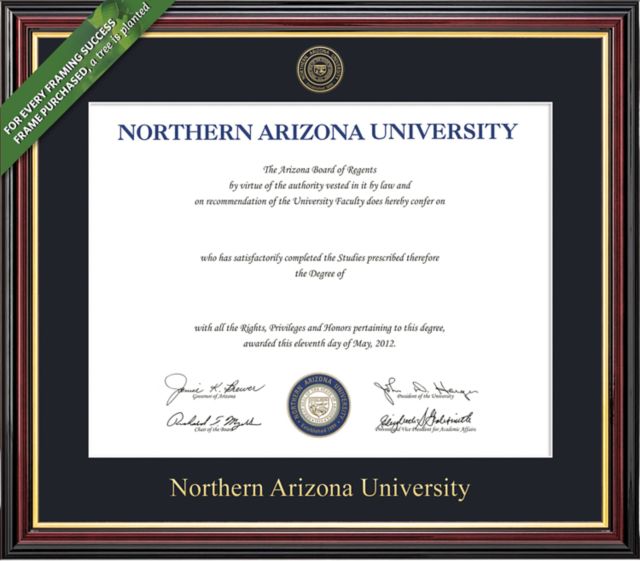 Framing Success Academic 8.5 x 11 Diploma with Single mat