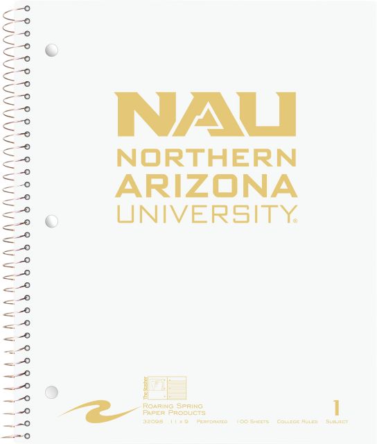 NOTEBOOK 100SH 1SUB