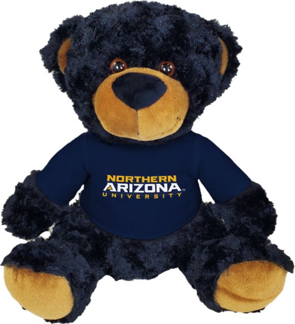Northern Arizona 10 in. Plush Bear