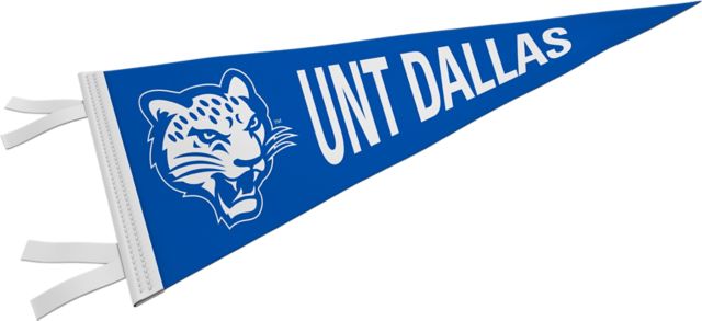 Cowboys Pennant 